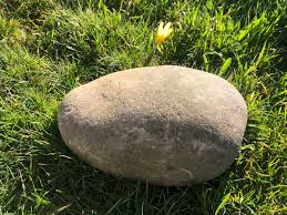 Portraitfoto Ralf Stein